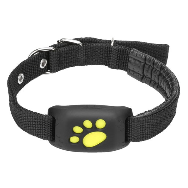 Pet GPS Tracker Collar - Kandy's Gadgets