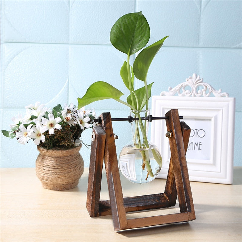 Glass and Wood Planter - Kandy's Gadgets