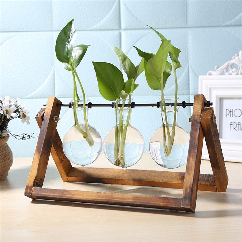 Glass and Wood Planter - Kandy's Gadgets