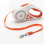 LED Dog Leash - Kandy's Gadgets