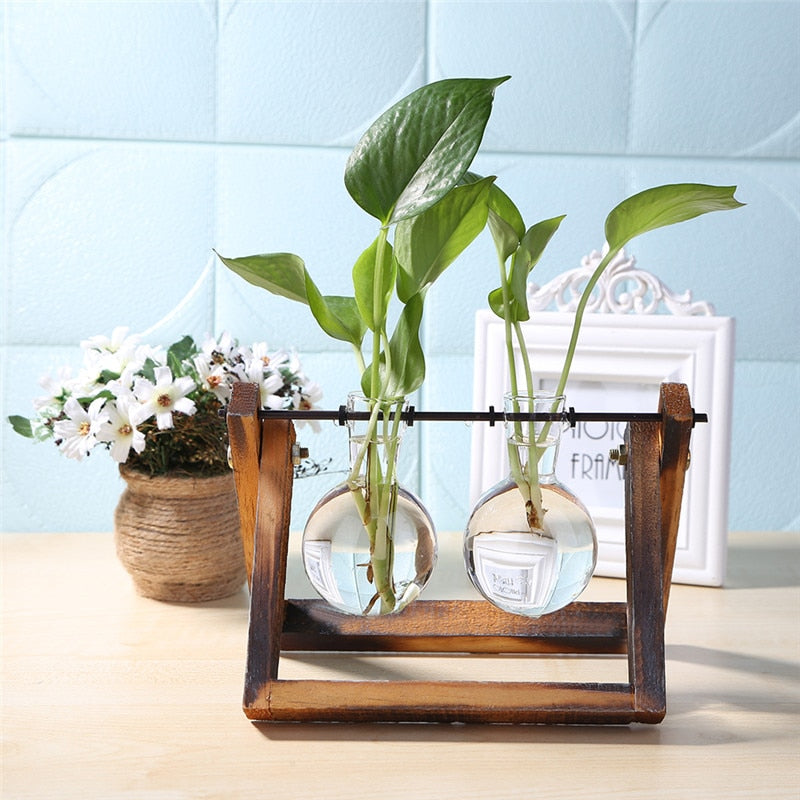 Glass and Wood Planter - Kandy's Gadgets