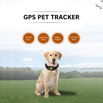 Pet GPS Tracker Collar - Kandy's Gadgets