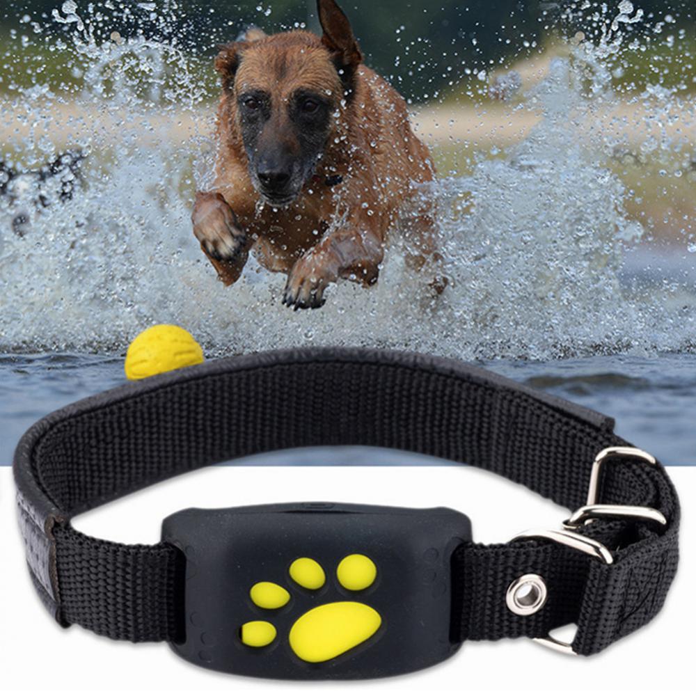 Pet GPS Tracker Collar - Kandy's Gadgets