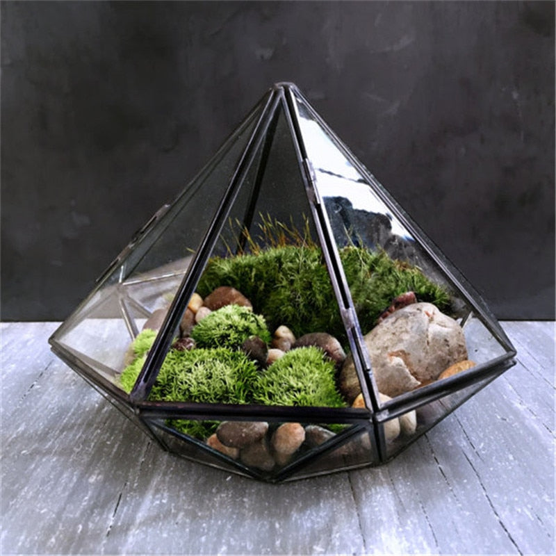 Glass Terrarium - Kandy's Gadgets