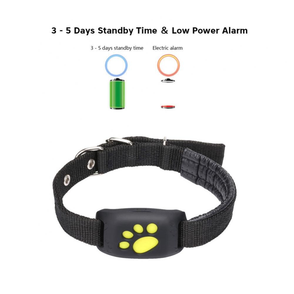 Pet GPS Tracker Collar - Kandy's Gadgets