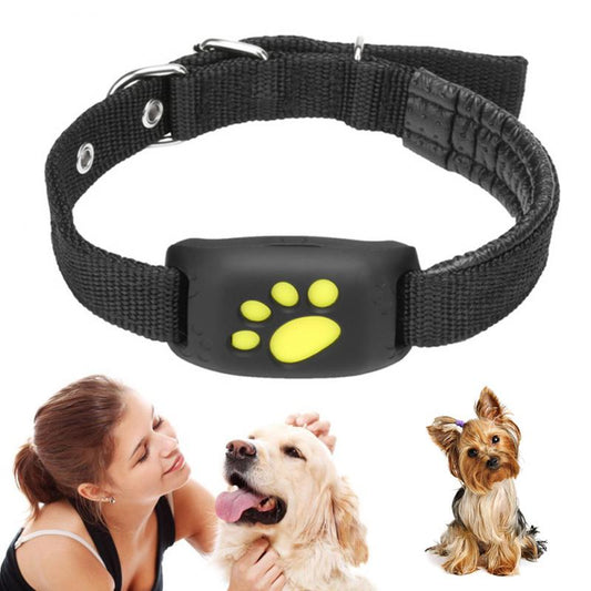 Pet GPS Tracker Collar - Kandy's Gadgets