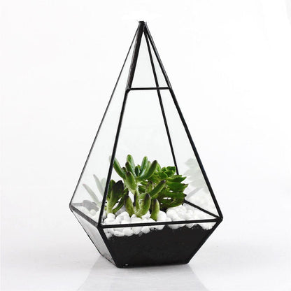 Pyramid Glass Terrarium - Kandy's Gadgets