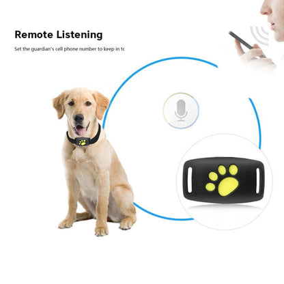 Pet GPS Tracker Collar - Kandy's Gadgets